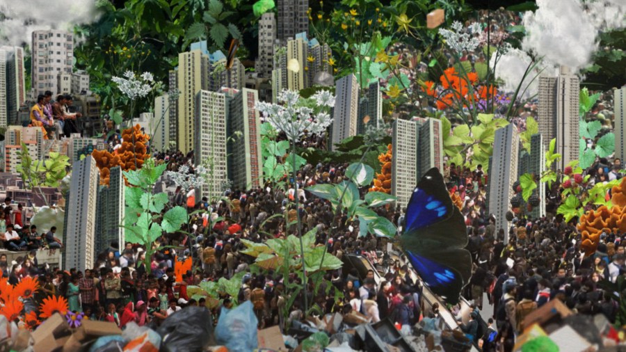PANORAMA_STILL_.jpg