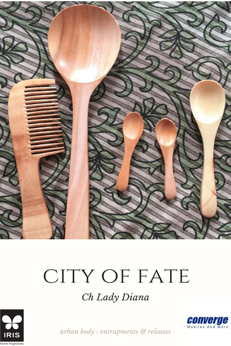 city of fate : a novella by ch lady diana