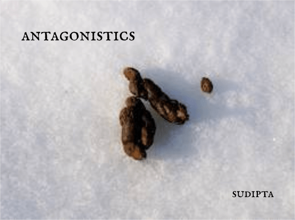 antagonistics by sudipta dawn