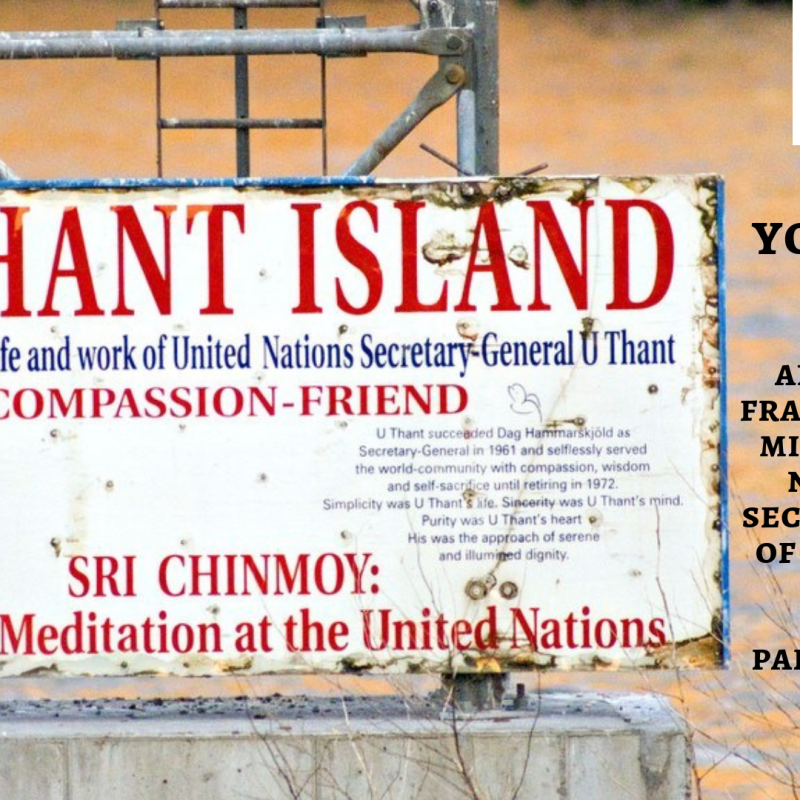 you thant…u thant: an imagination fragment from the mind of the first non european secretary general of UN from 1961 to 1971 by parnab mukherjee