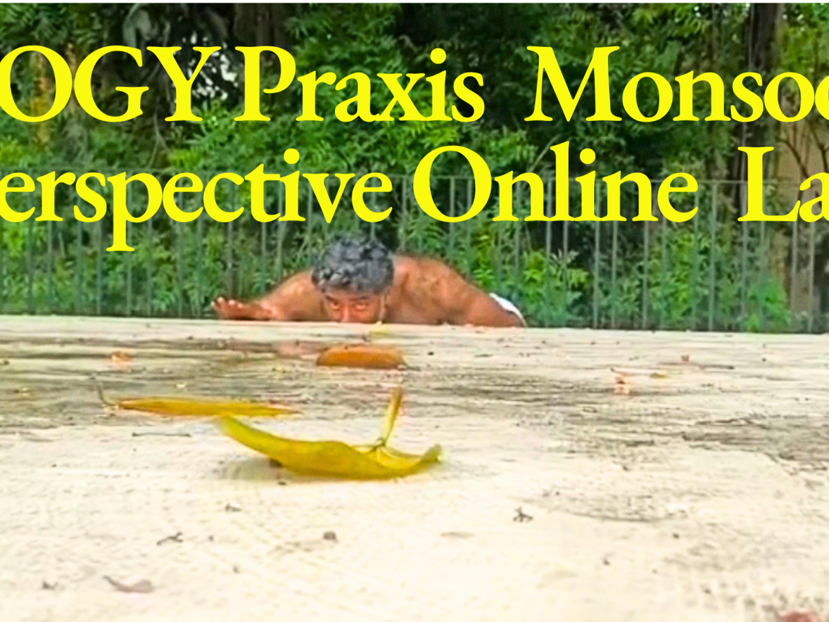 ILOGY praxis presents Monsoon Perspective Online Lab